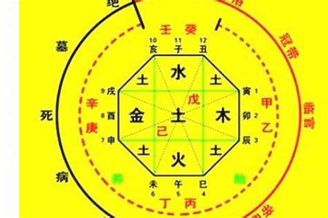 八字喜水木|八字喜水木是什么意思 (五行缺什么不能只看八字中缺什么)